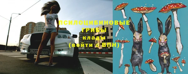 МДПВ Алексеевка