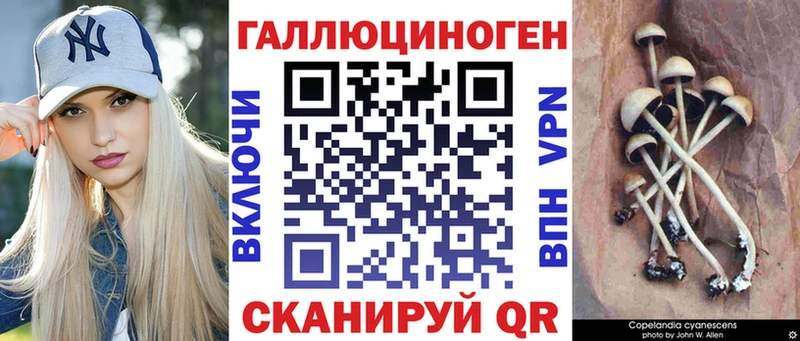 Галлюциногенные грибы Cubensis  хочу наркоту  Мичуринск 