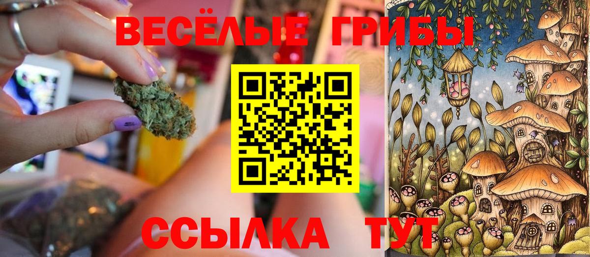 Галлюциногенные грибы GOLDEN TEACHER Мичуринск