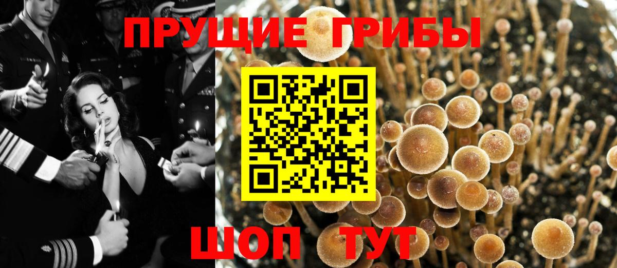 Галлюциногенные грибы Magic Shrooms  Вход с VPN  Мичуринск 